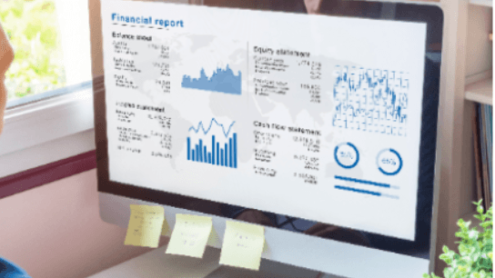 Financial Statement Shenanigans: Stop Them from Fooling You