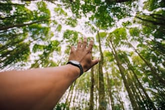 Nonprofit Governance: Legal Risks & Responsibilities