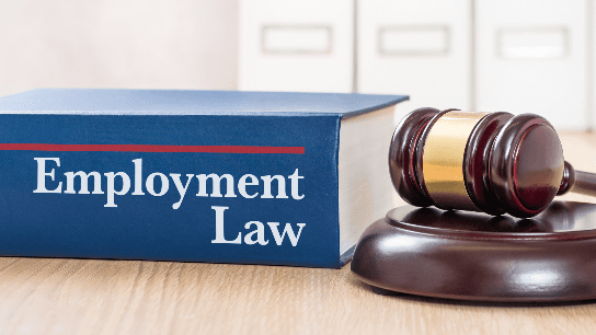 Advanced Strategies in Employment Law Mediation
