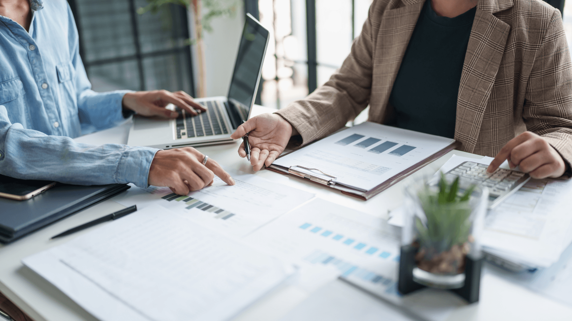 Tax Advocacy: Protecting Vulnerable Taxpayers