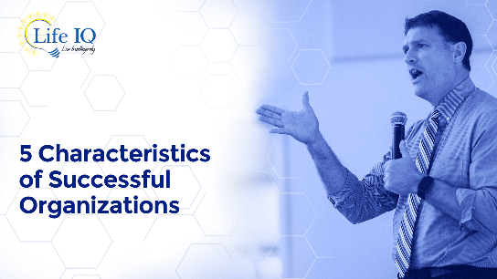 5 Characteristics of Successful Organizations