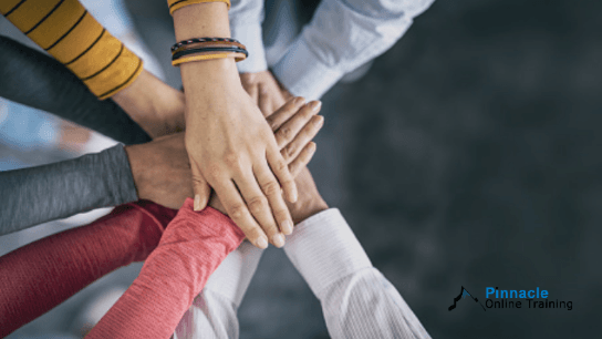 Diversity and Inclusion in the Workplace