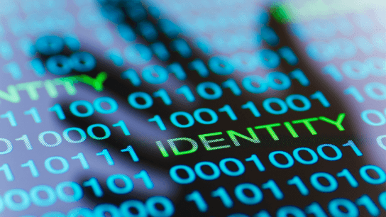 Business Identity Theft