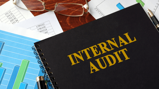 Foundations of a Strong Internal Audit Department Update