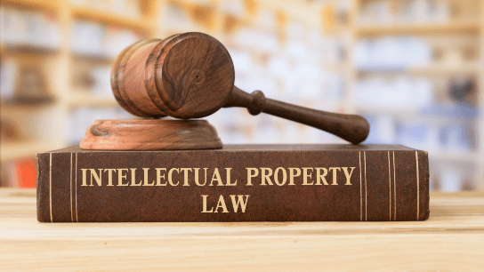Intellectual Property Law Basics