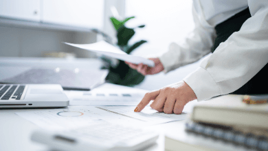 Global IIA Standards Domain IV Principle 9