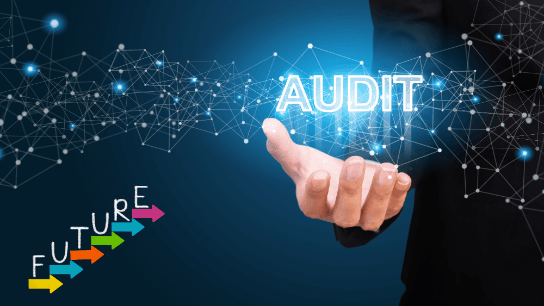 The Future of Internal Audit